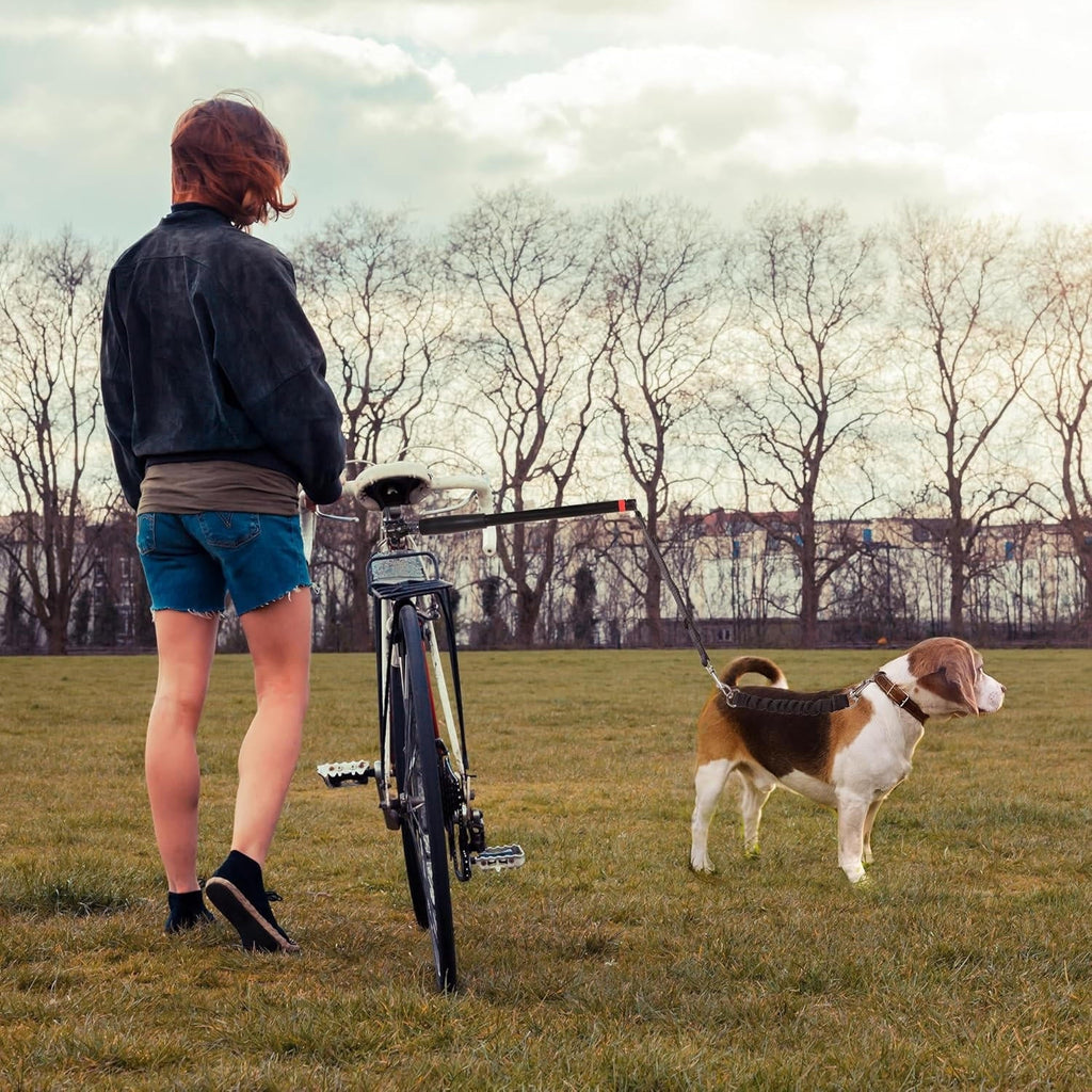 Dog Bike Tow Leash with Quick Release Buckle and Safety Rod All Vera Mart