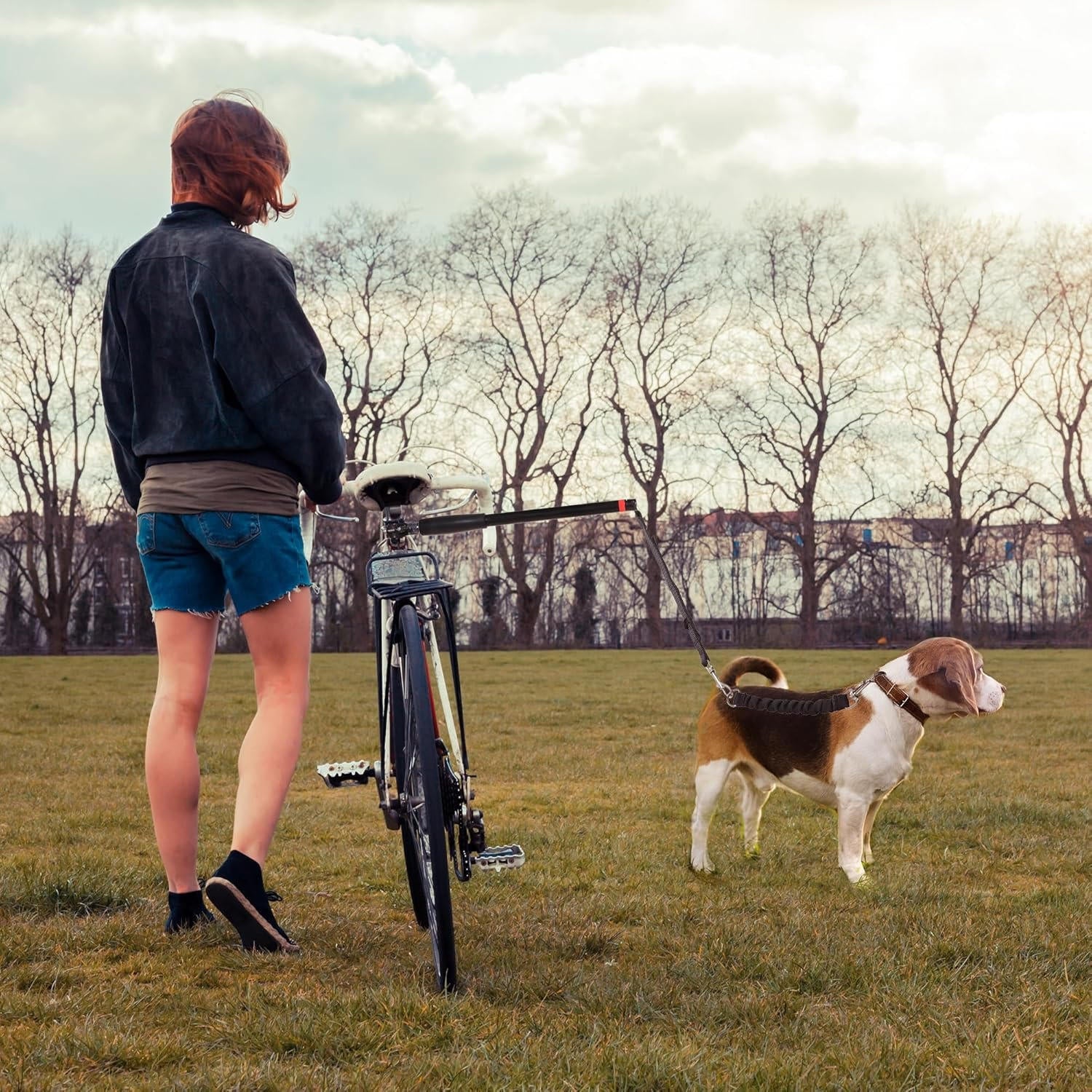 Dog Bike Tow Leash with Quick Release Buckle and Safety Rod All Vera Mart