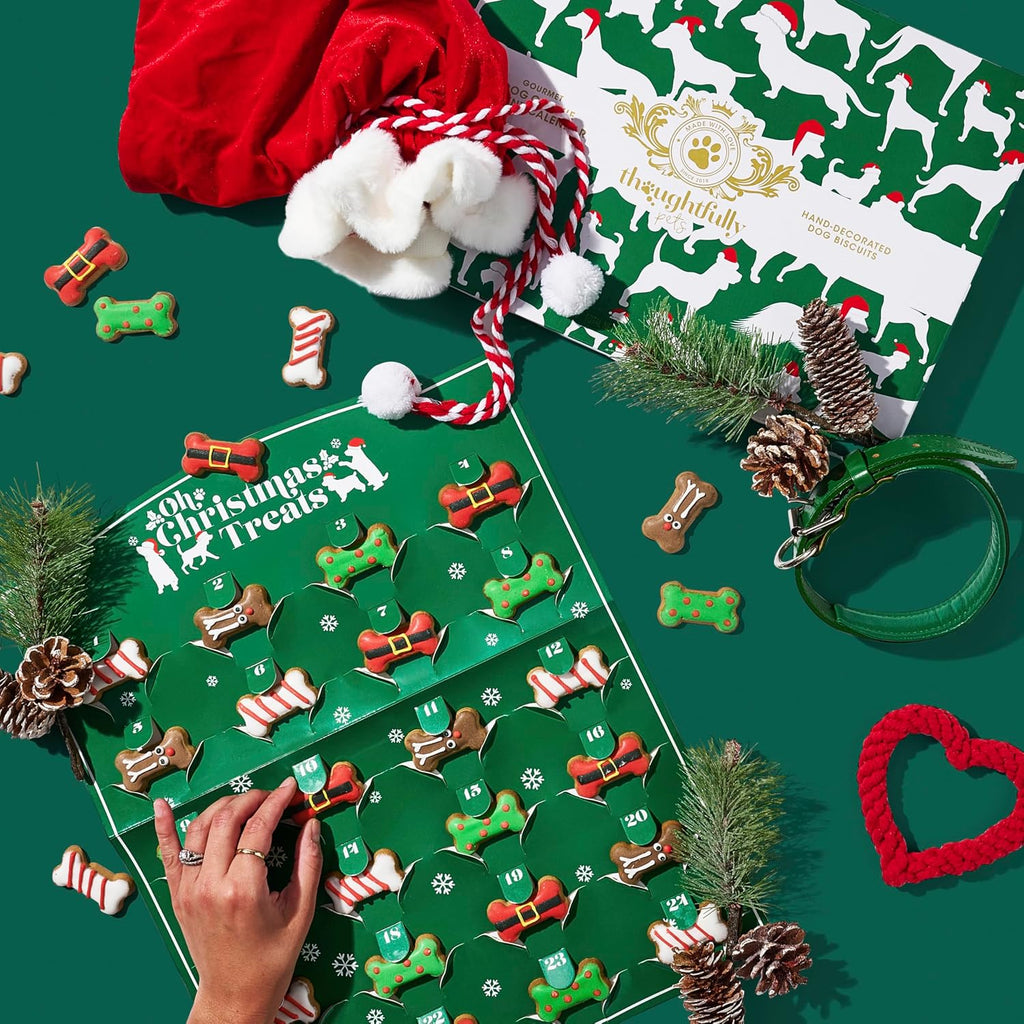 Advent Calendar for Dogs with 24 Gingerbread Bone Biscuits and Festive Designs All Vera Mart