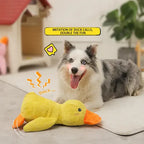 Quacking Duck Dog Toy with Realistic Sound and Machine Washable Polyester All Vera Mart