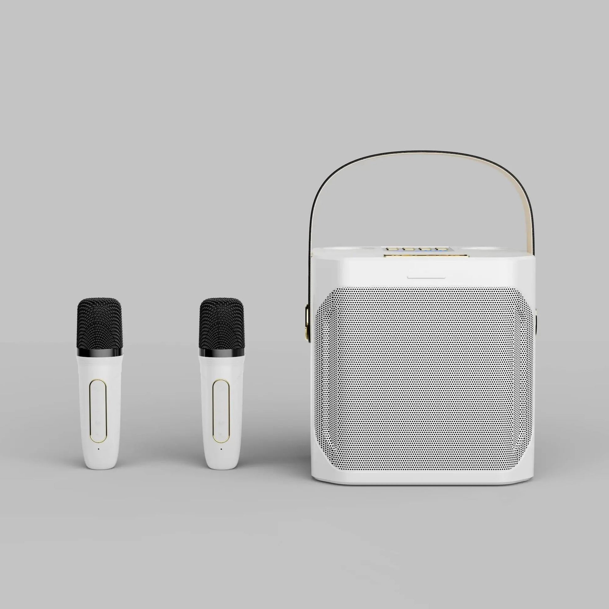 Karaoke Speaker with Dual Microphones and 360° Stereo Sound, 8-Hour Battery All Vera Mart