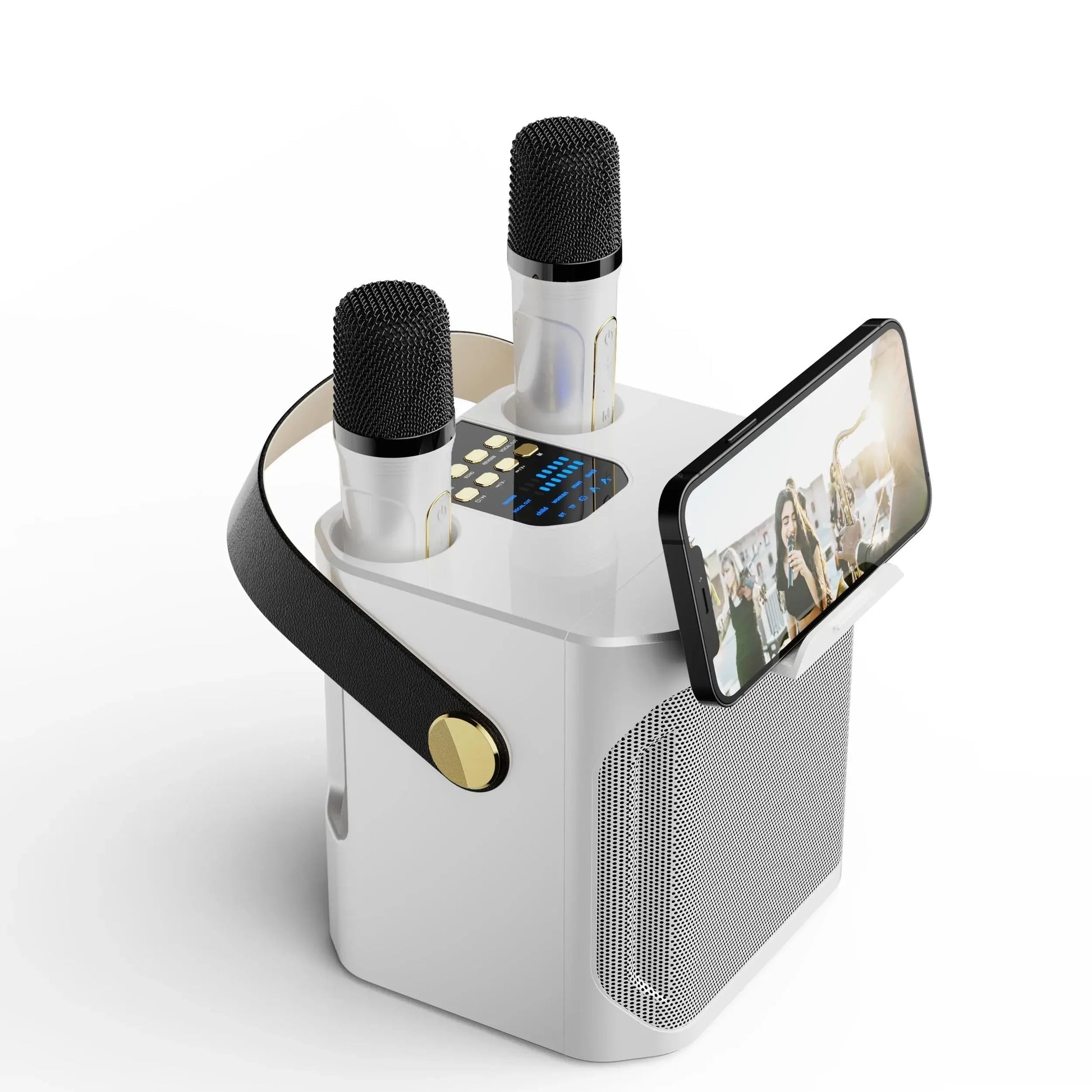 Karaoke Speaker with Dual Microphones and 360° Stereo Sound, 8-Hour Battery All Vera Mart