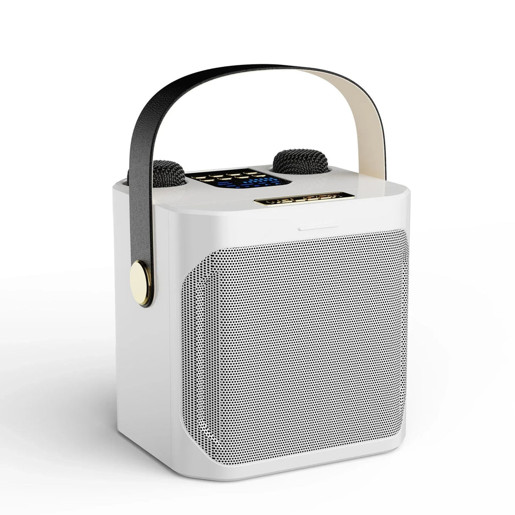 Karaoke Speaker with Dual Microphones and 360° Stereo Sound, 8-Hour Battery All Vera Mart