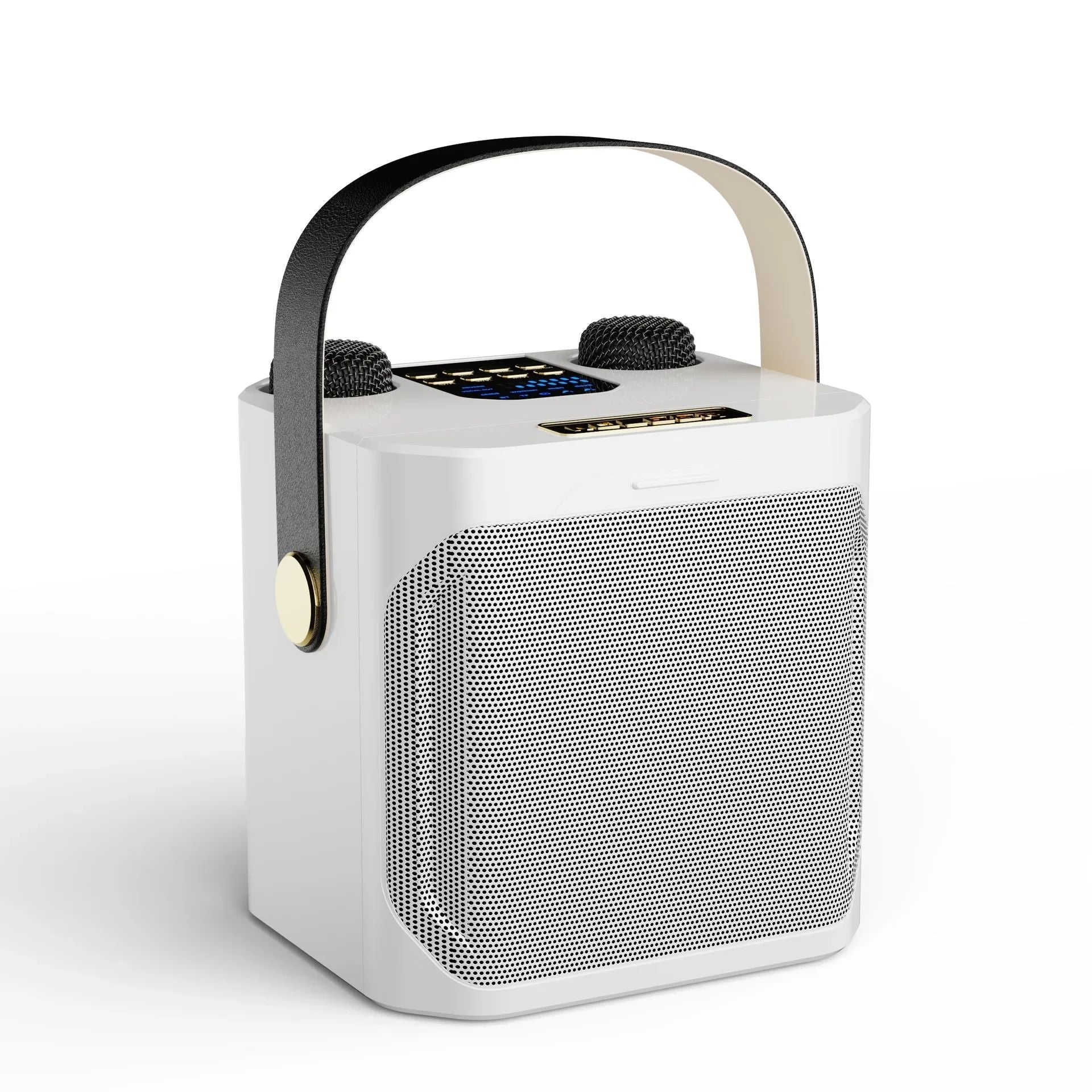 Karaoke Speaker with Dual Microphones and 360° Stereo Sound, 8-Hour Battery All Vera Mart