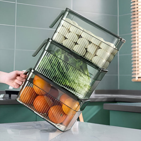 Refrigerator Storage Box with Ventilated Lid and Transparent Walls, Stackable All Vera Mart