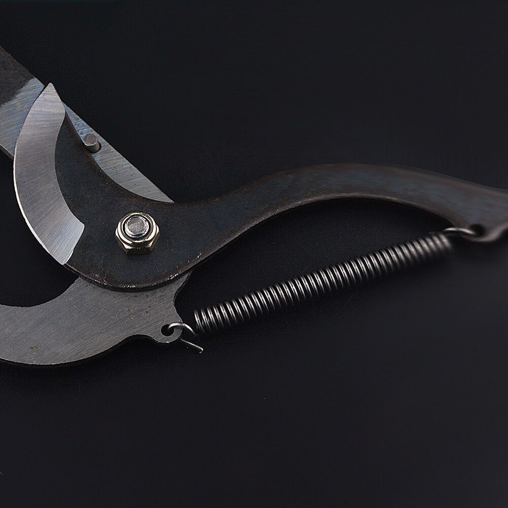 Extension Pruning Shears with Rope Pulley System and High Carbon Steel Blade, 50mm Cutting Capacity All Vera Mart