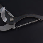 Extension Pruning Shears with Rope Pulley System and High Carbon Steel Blade, 50mm Cutting Capacity All Vera Mart