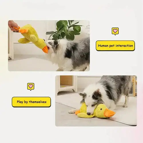 Quacking Dog Toy with Low Realistic Quack and Reinforced Plush, Machine Washable All Vera Mart