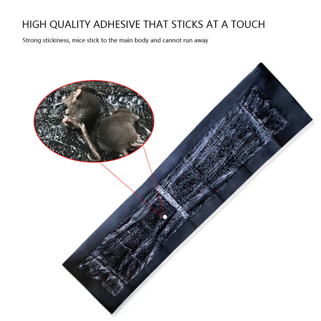 Extra Large Sticky Rodent Pads with Strong Adhesive Grip, 5 Pack All Vera Mart