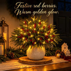 Light Up Norfolk Pine Branch with Warm Golden Twinkles Battery Powered in Classic Red Berry Or Frosted