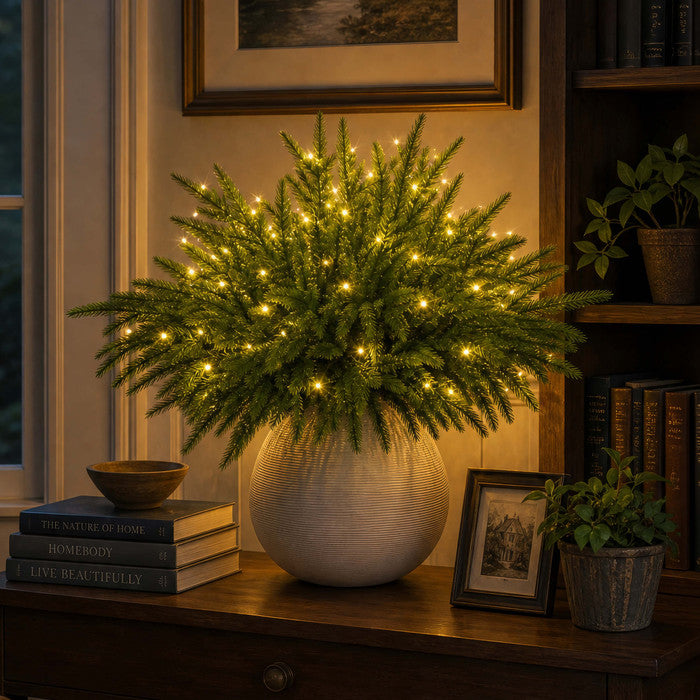 Light Up Norfolk Pine Branch with Warm Golden Twinkles Battery Powered in Classic Red Berry Or Frosted