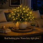 Light Up Norfolk Pine Branch with Warm Golden Twinkles Battery Powered in Classic Red Berry Or Frosted