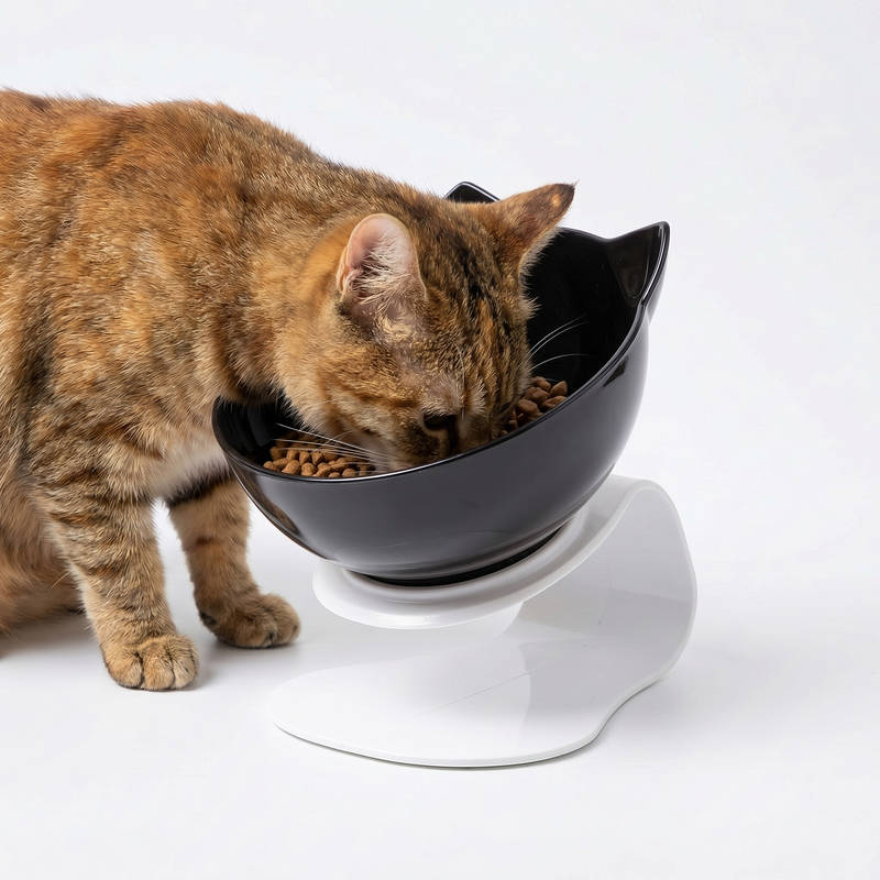 Tilted Cat Feeding Bowl with 15-Degree Angle and Dual Transparent Dishes, Anti Slip Base All Vera Mart