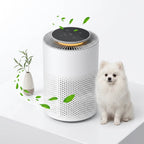 Bedroom Air Purifier with H13 HEPA Filtration and Night Light, Pet Hair and Odor Removal All Vera Mart