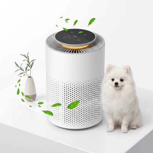 Bedroom Air Purifier with H13 HEPA Filtration and Night Light, Pet Hair and Odor Removal All Vera Mart