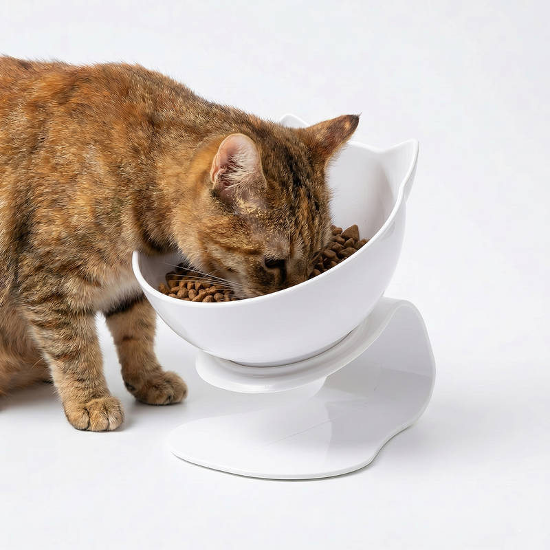 Tilted Cat Feeding Bowl with 15-Degree Angle and Dual Transparent Dishes, Anti Slip Base All Vera Mart