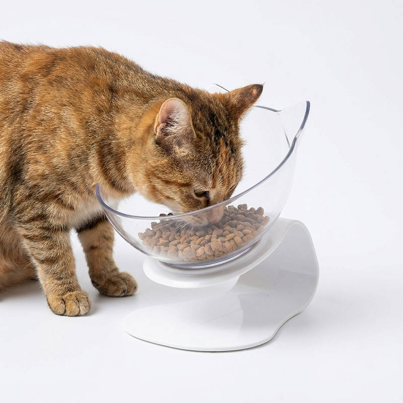 Tilted Cat Feeding Bowl with 15-Degree Angle and Dual Transparent Dishes, Anti Slip Base All Vera Mart