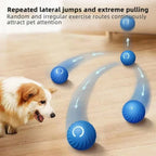 Interactive Rolling Dog Toy with Automatic Motion and Touch Activation All Vera Mart