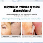 Dark Spot Fading Cream with Nicotinamide and Hydrating Blend for All Skin Types All Vera Mart