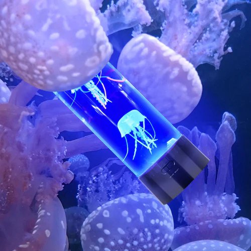 Color Changing Jellyfish Lamp with LED Tank and Realistic Movement All Vera Mart