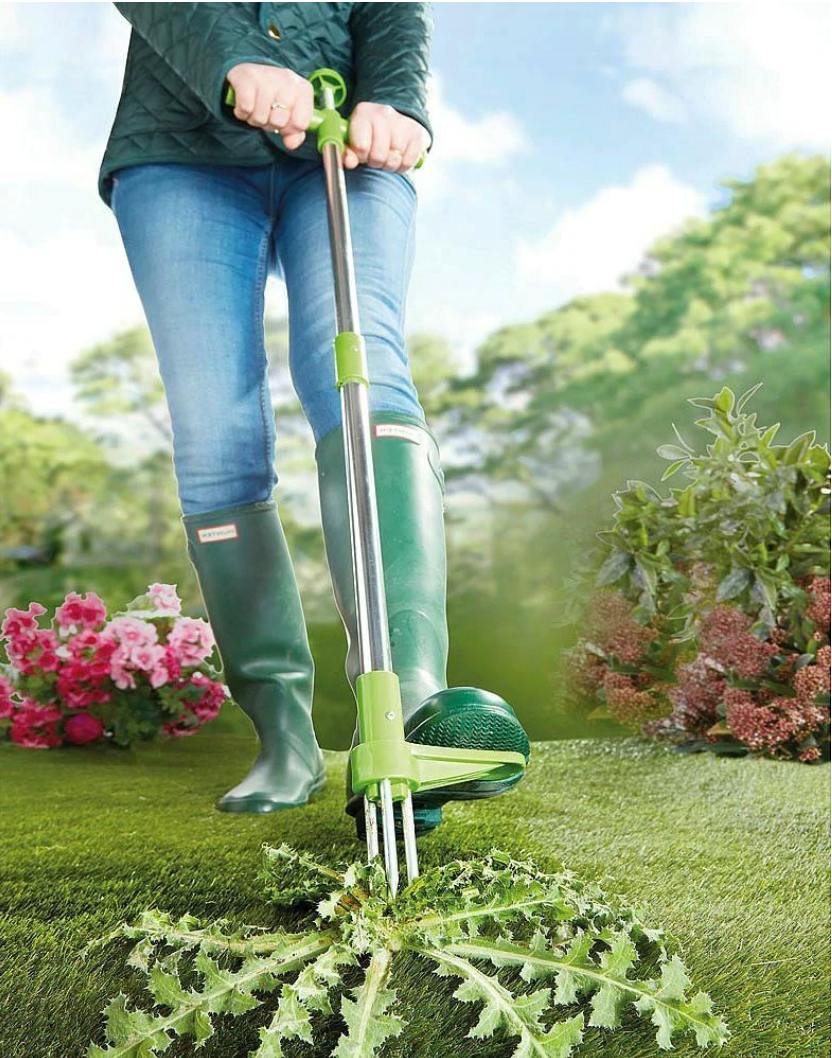 Standing Weed Puller with Three Pronged Spring Loaded Claws and 36in Handle All Vera Mart