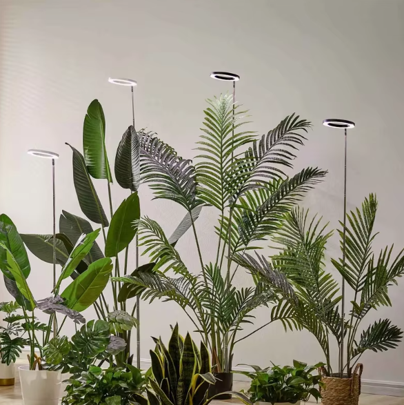 Full Spectrum LED Grow Light with Adjustable Brightness and Telescoping Stand All Vera Mart