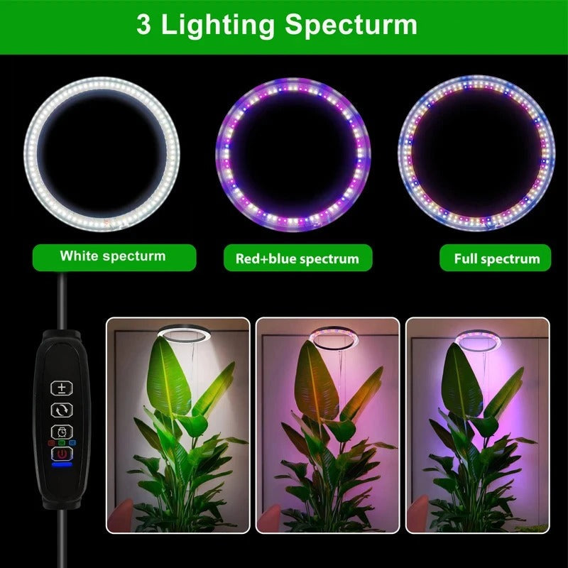 Full Spectrum LED Grow Light with Adjustable Brightness and Telescoping Stand All Vera Mart