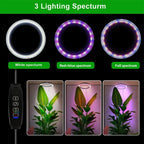 Full Spectrum LED Grow Light with Adjustable Brightness and Telescoping Stand All Vera Mart