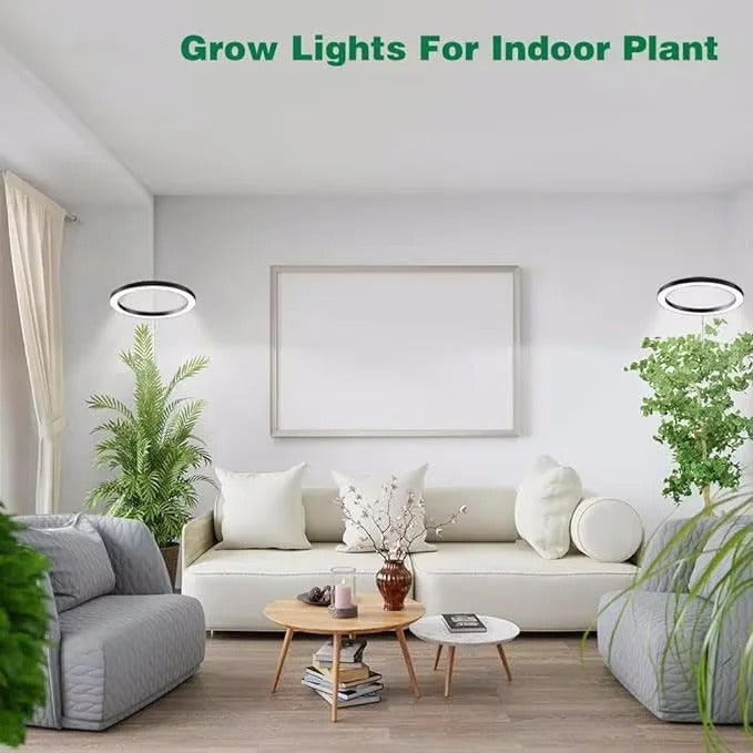 Full Spectrum LED Grow Light with Adjustable Brightness and Telescoping Stand All Vera Mart