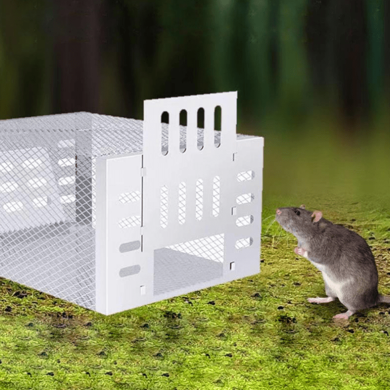 Live Mouse Trap with One-Way Entry and Galvanized Iron Cage, Holds 10-15 Mice All Vera Mart