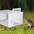Live Mouse Trap with One-Way Entry and Galvanized Iron Cage, Holds 10-15 Mice All Vera Mart