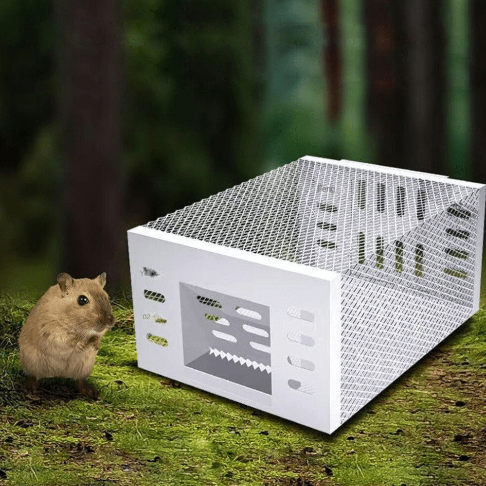 Live Mouse Trap with One-Way Entry and Galvanized Iron Cage, Holds 10-15 Mice All Vera Mart