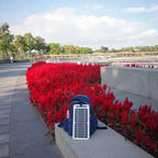 Portable Solar Panel Charger with Monocrystalline Cells and Hanging Hooks, 6W Output All Vera Mart