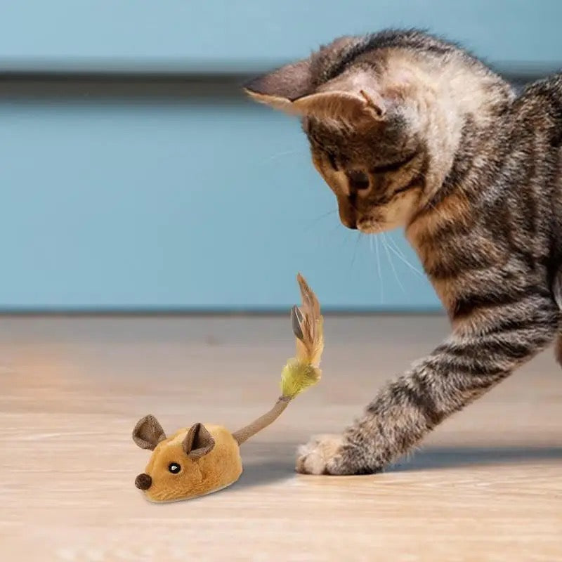 Rechargeable Interactive Cat Mouse Toy with Obstacle Sensors and Automatic Direction Changes All Vera Mart