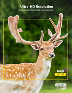 Motion Activated Trail Camera with 24MP Photos and Infrared Night Vision All Vera Mart
