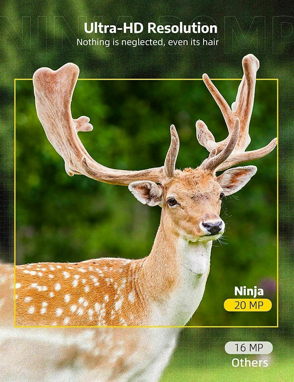 Motion Activated Trail Camera with 24MP Photos and Infrared Night Vision All Vera Mart