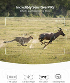 Motion Activated Trail Camera with 24MP Photos and Infrared Night Vision All Vera Mart
