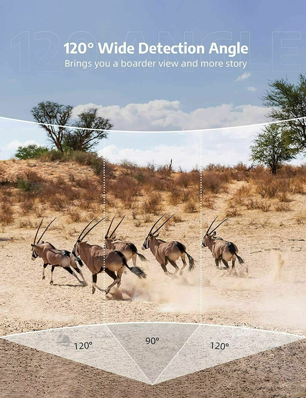 Motion Activated Trail Camera with 24MP Photos and Infrared Night Vision All Vera Mart