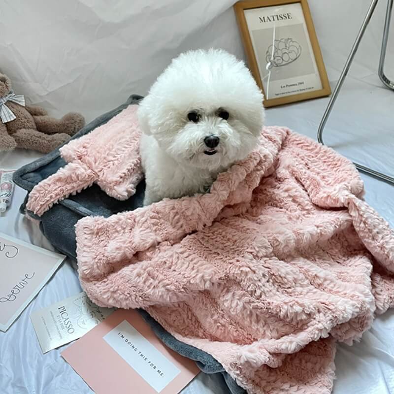 Plush Pet Bed with Raised Edges and Matching Pillow, Includes Blanket All Vera Mart
