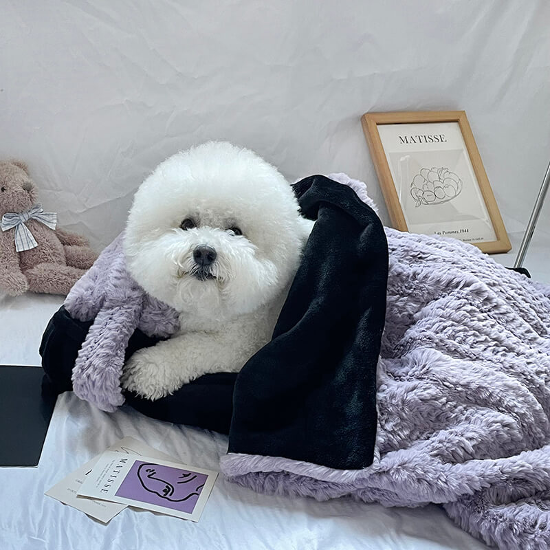Plush Pet Bed with Raised Edges and Matching Pillow, Includes Blanket All Vera Mart