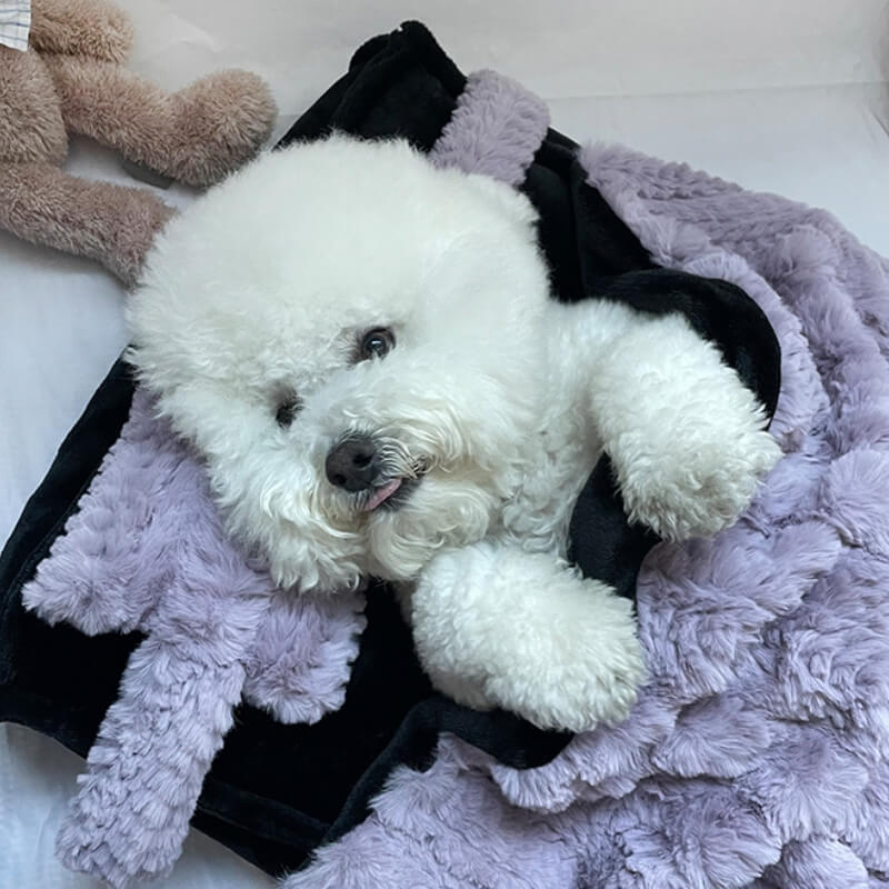 Plush Pet Bed with Raised Edges and Matching Pillow, Includes Blanket All Vera Mart