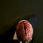 Full Head Skeleton Mask with Exposed Brain Detail and Latex Construction All Vera Mart