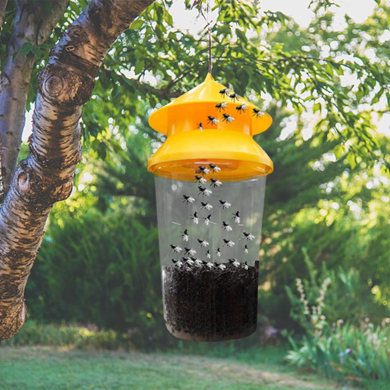 Hanging Fly Trap with Reusable Chamber and Weather Resistant Build All Vera Mart