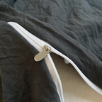 Brushed Microfiber Duvet Cover with Hidden Zipper and Matching Pillowcases All Vera Mart