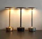 Cordless LED Table Lamp with Touch Dimming Control and Infinitely Adjustable Brightness All Vera Mart