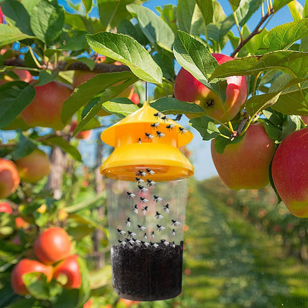 Hanging Fly Trap with Reusable Chamber and Weather Resistant Build All Vera Mart