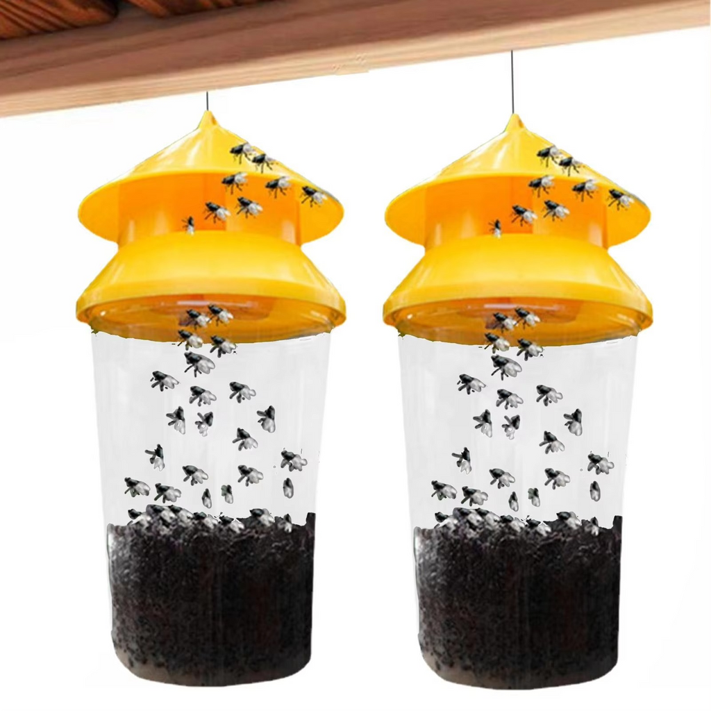 Hanging Fly Trap with Reusable Chamber and Weather Resistant Build All Vera Mart