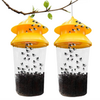 Hanging Fly Trap with Reusable Chamber and Weather Resistant Build All Vera Mart