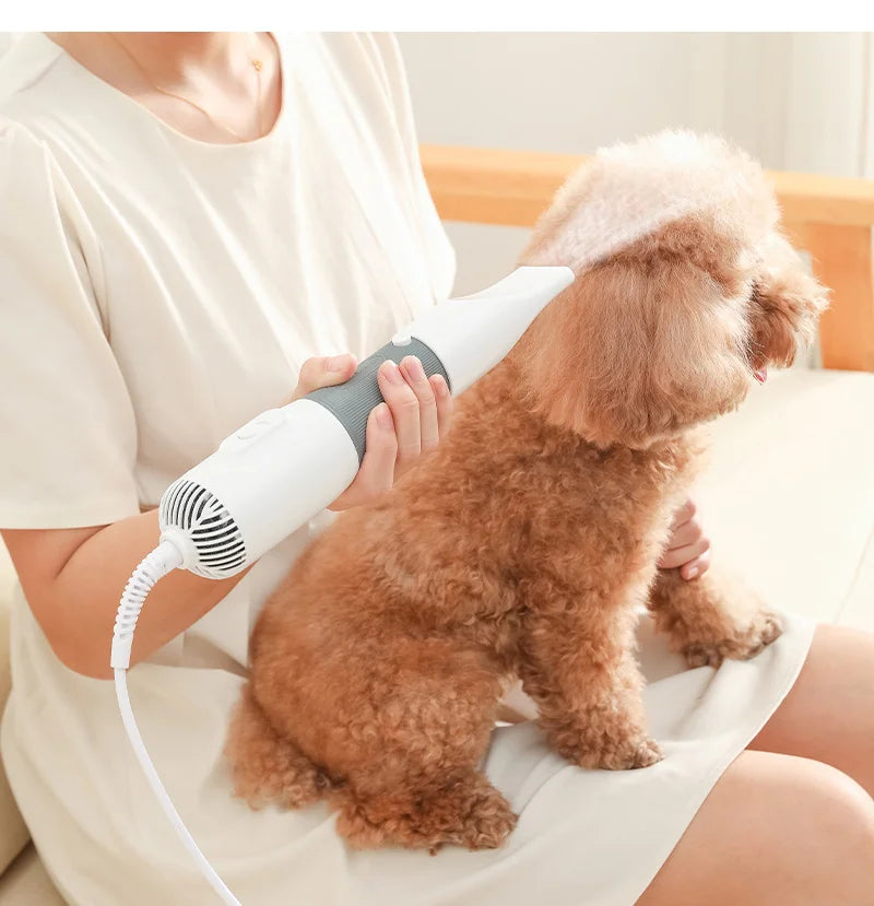 Dog Hair Dryer with Interchangeable Comb Heads and Three Heat Settings All Vera Mart