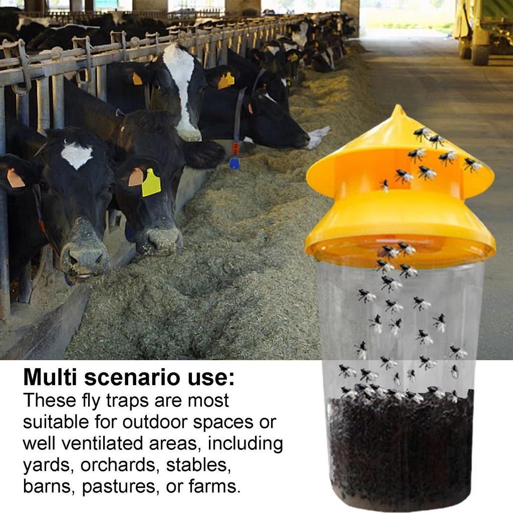 Hanging Fly Trap with Reusable Chamber and Weather Resistant Build All Vera Mart